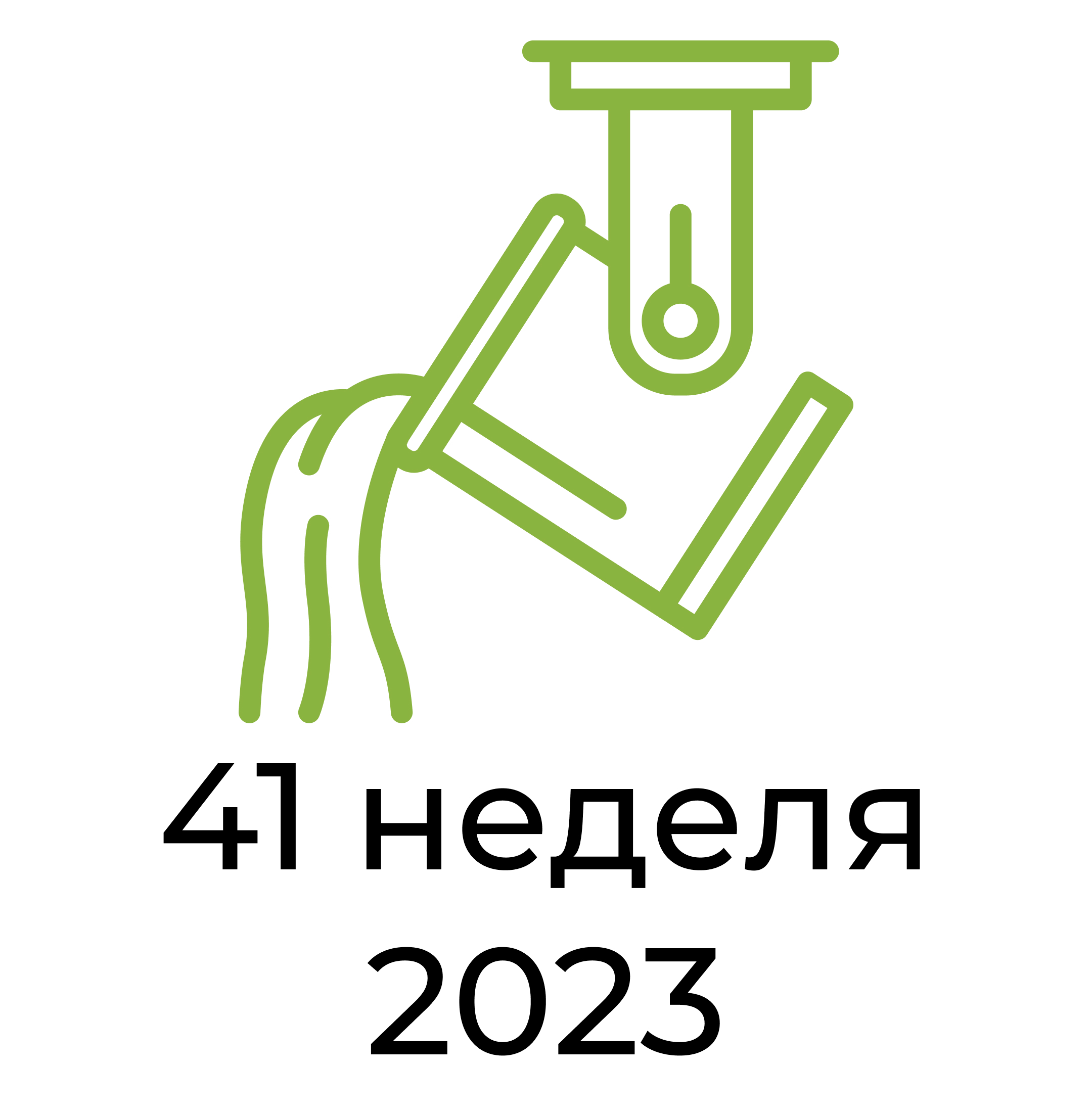 Отчёт за 41 неделю 2023 года