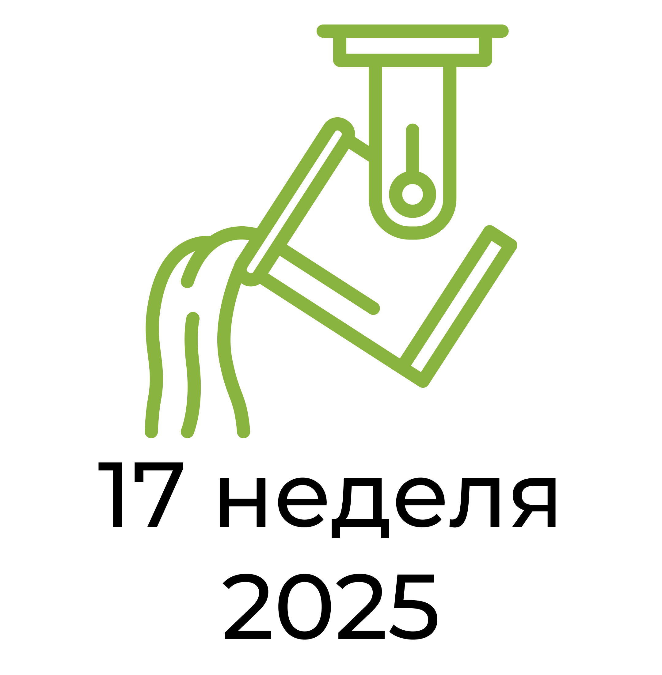 Отчёт за 17 неделю 2025 года