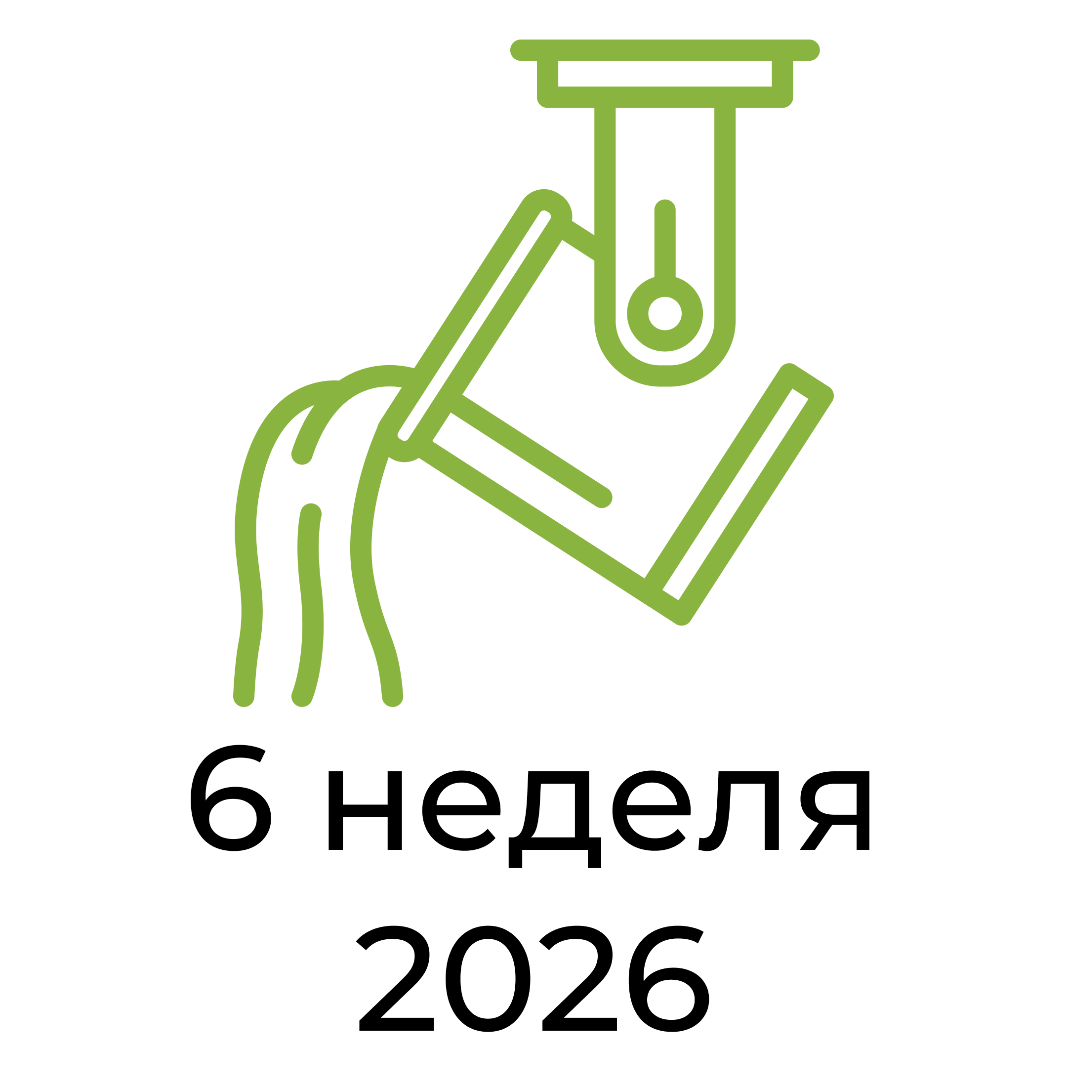 Отчёт за 6 неделю 2026 года