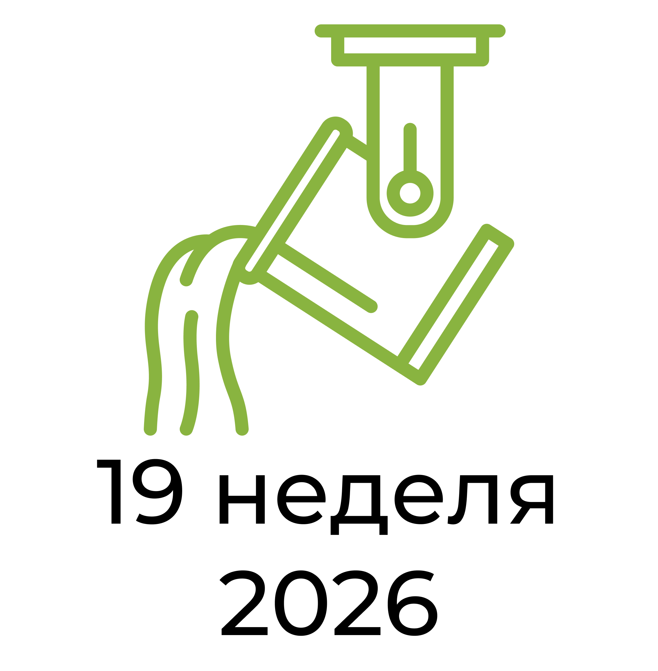 Отчёт за 19 неделю 2026 года