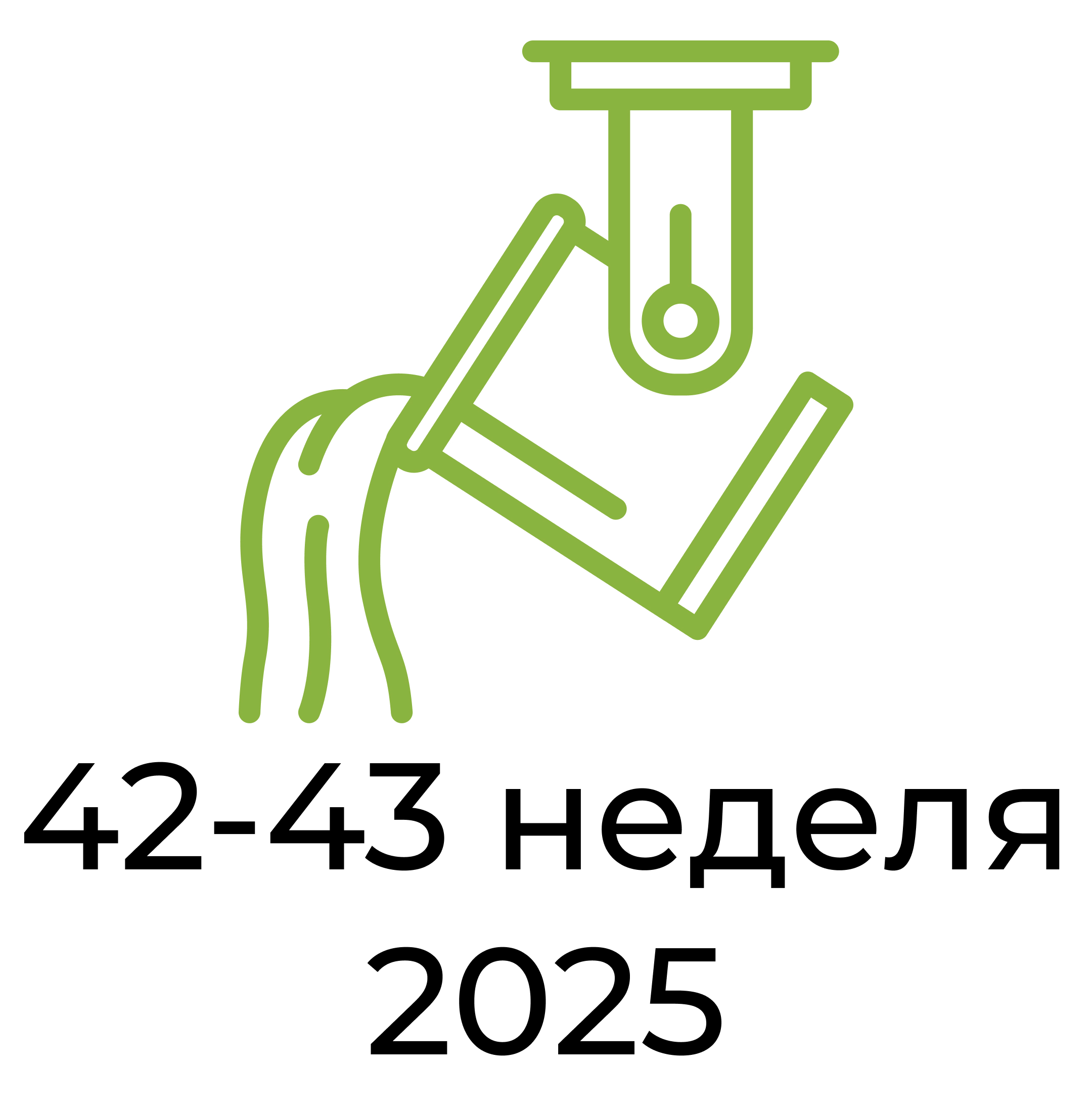 Отчёт за 42-43 неделю 2025 года