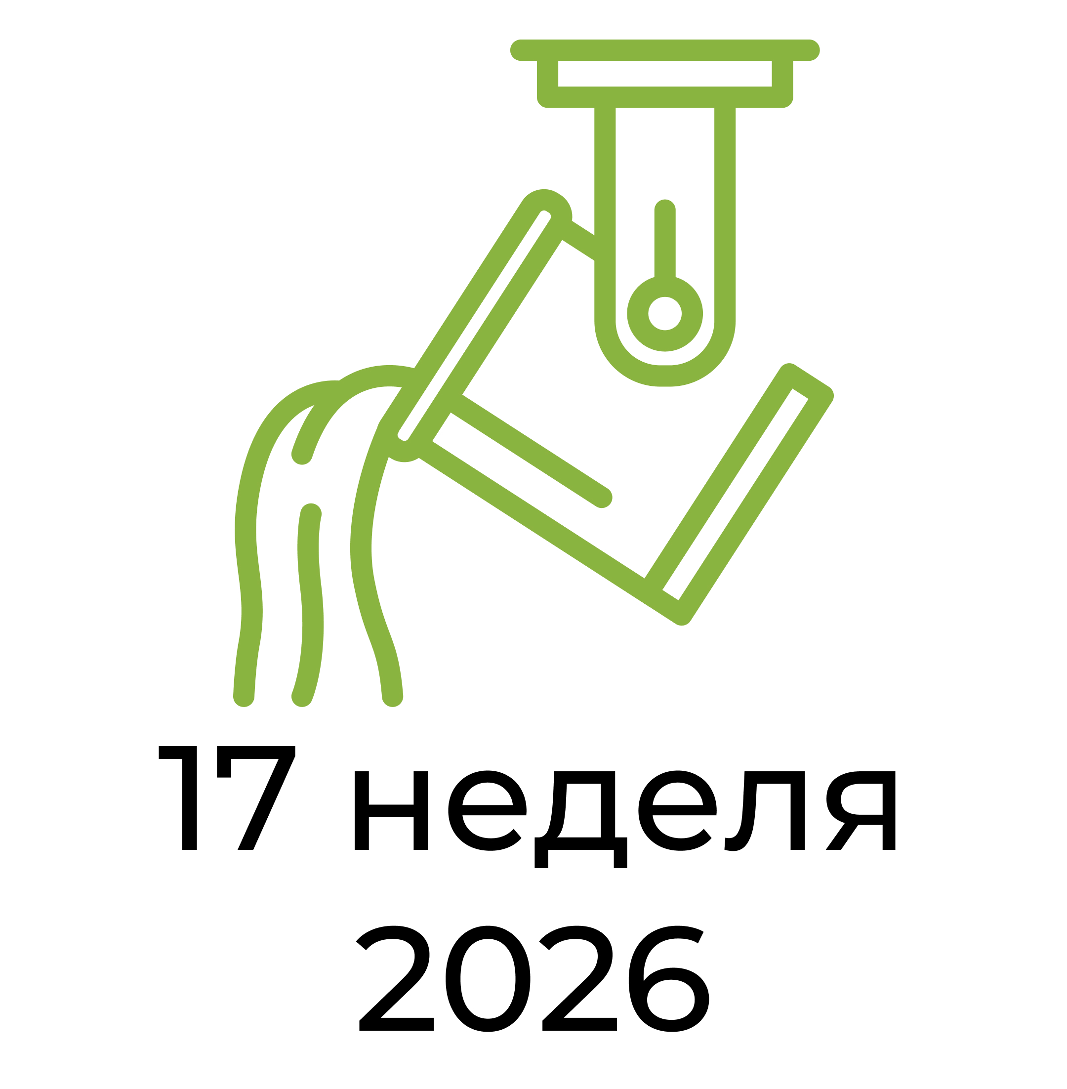 Отчёт за 17 неделю 2026 года