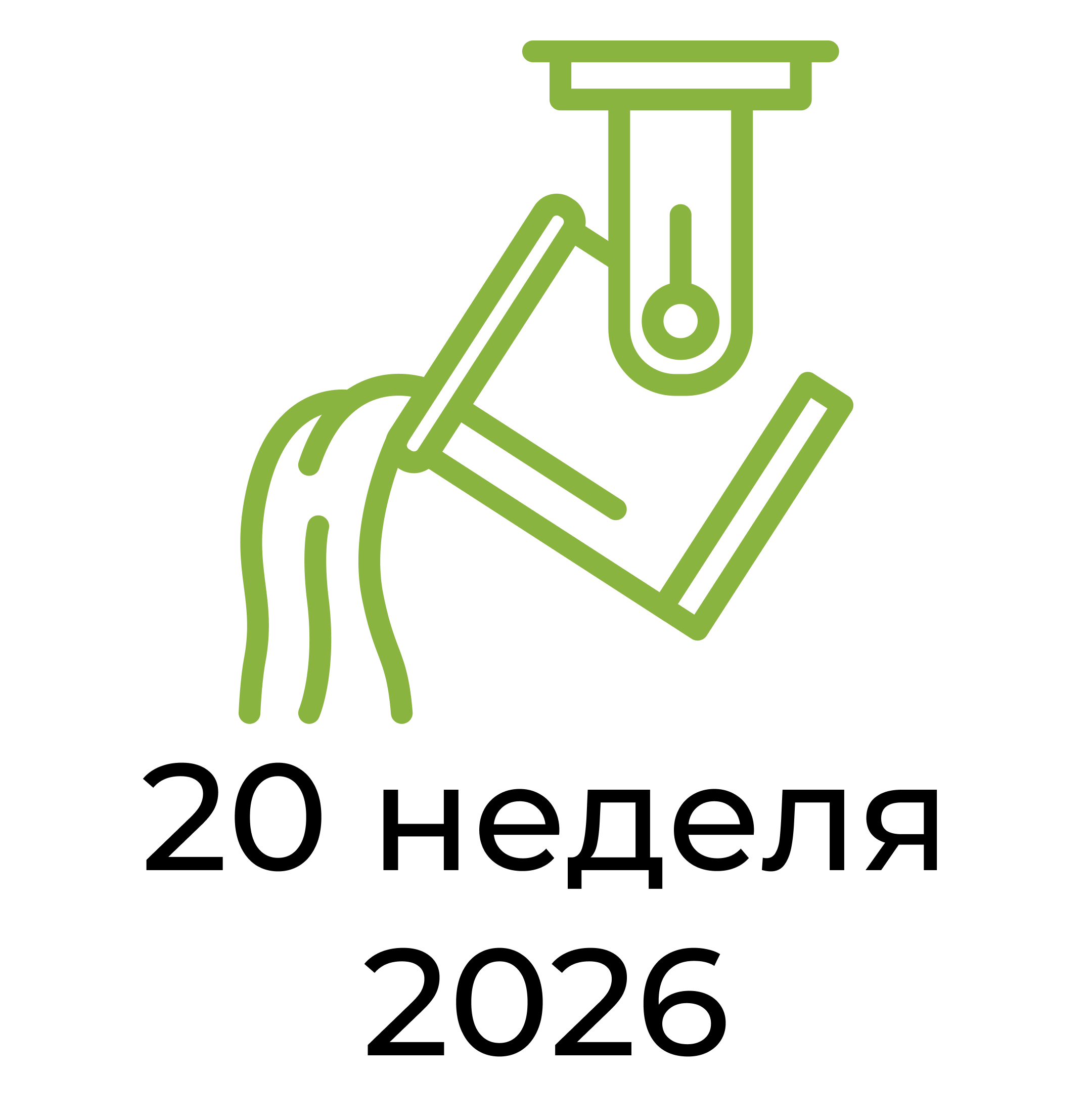 Отчёт за 20 неделю 2026 года
