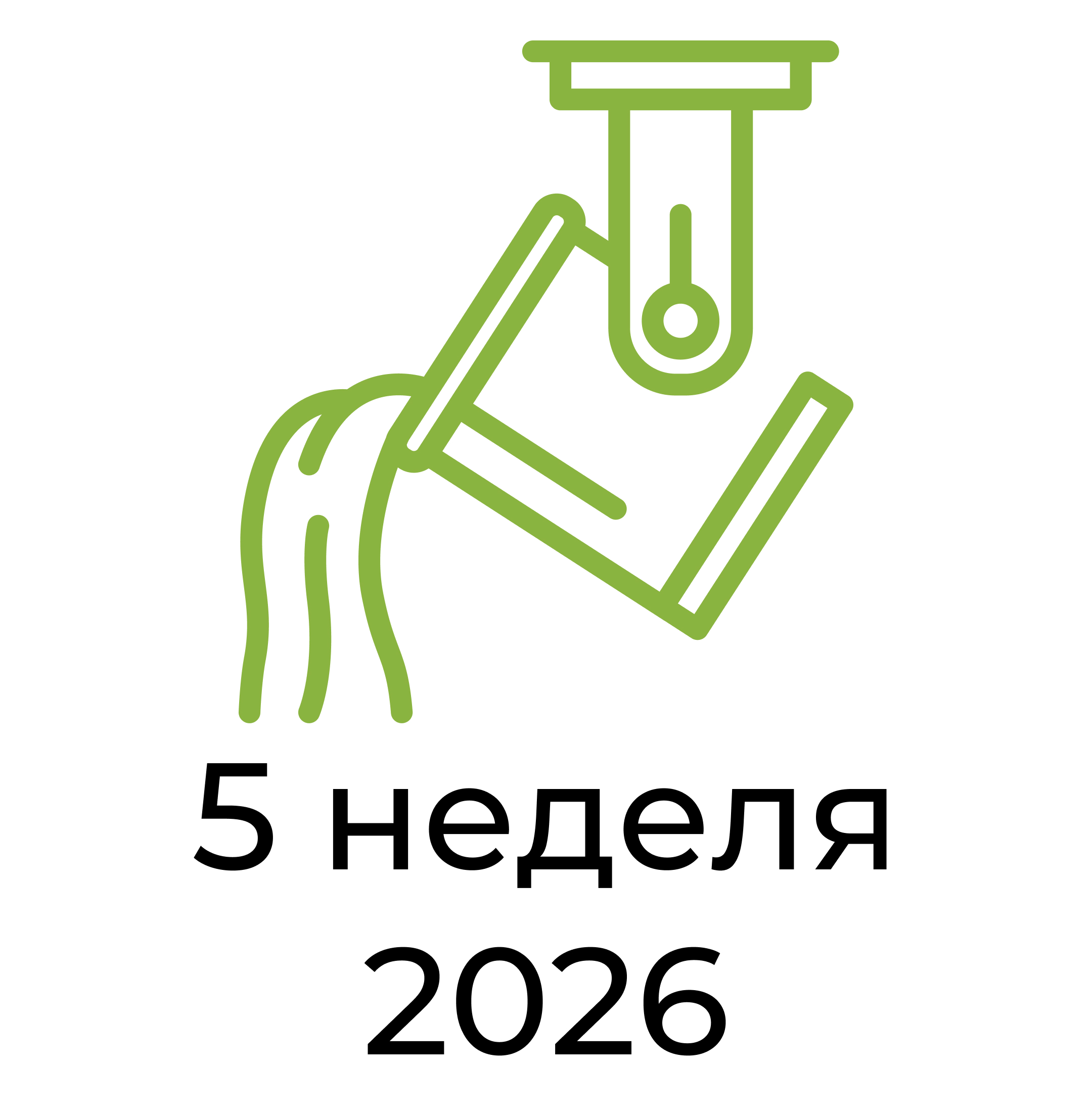 Отчёт за 5 неделю 2026 года