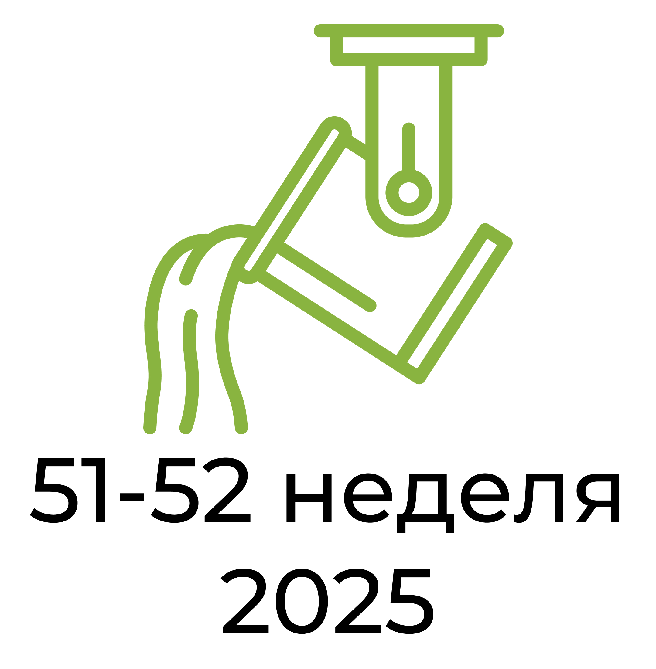 Отчёт за 51-52 неделю 2025 года