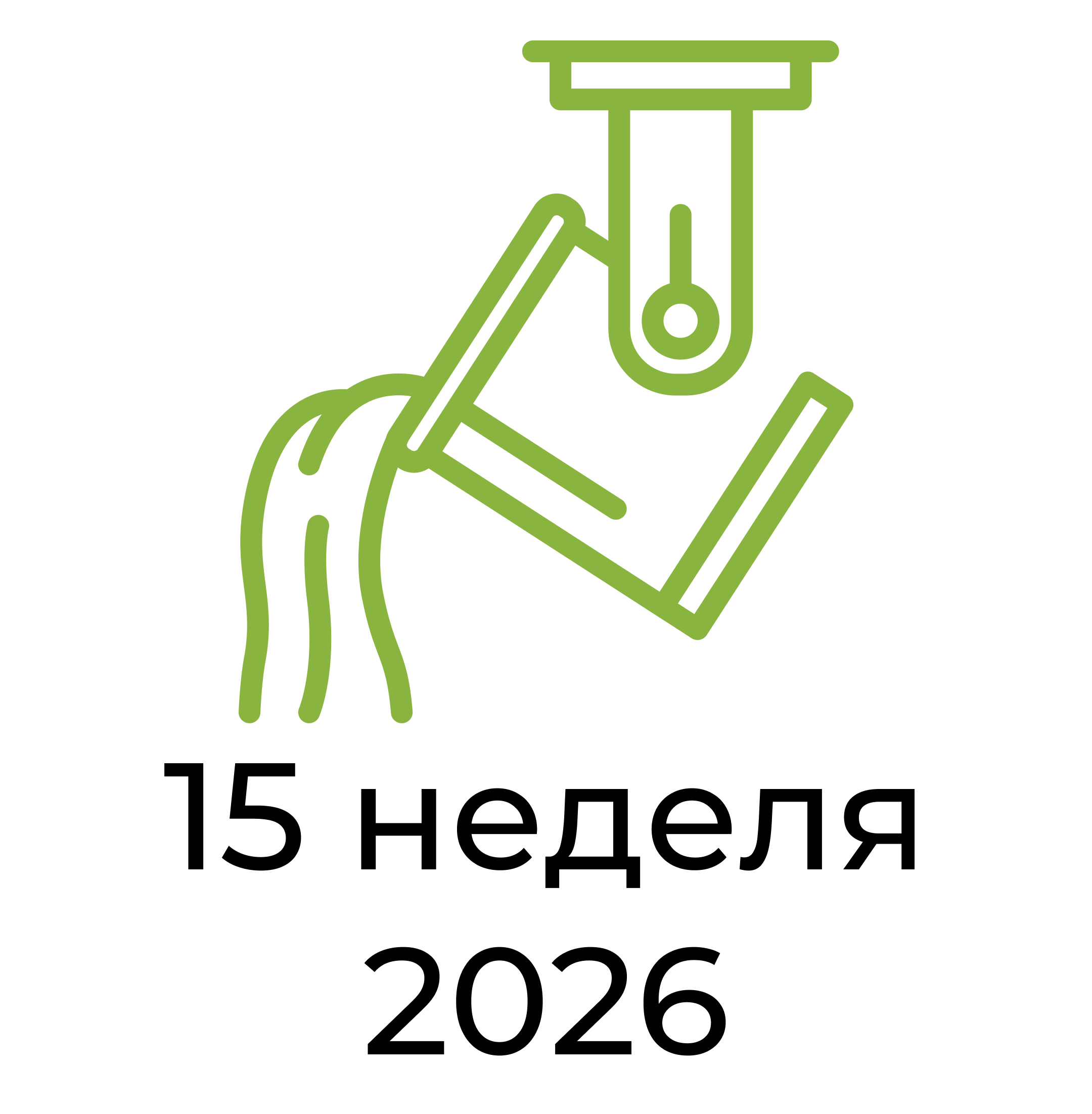 Отчёт за 15 неделю 2026 года
