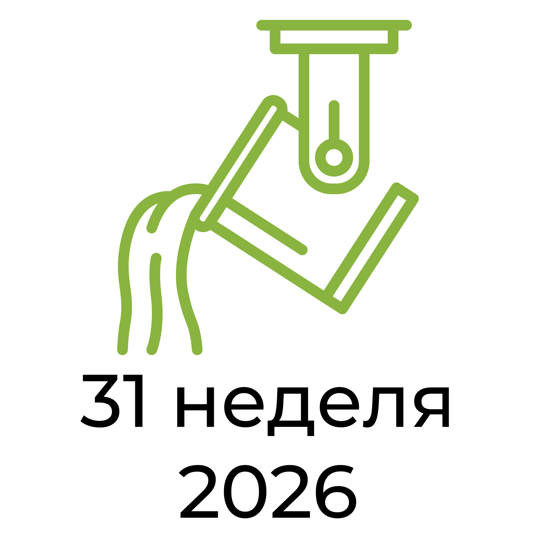 Отчёт за 31 неделю 2026 года