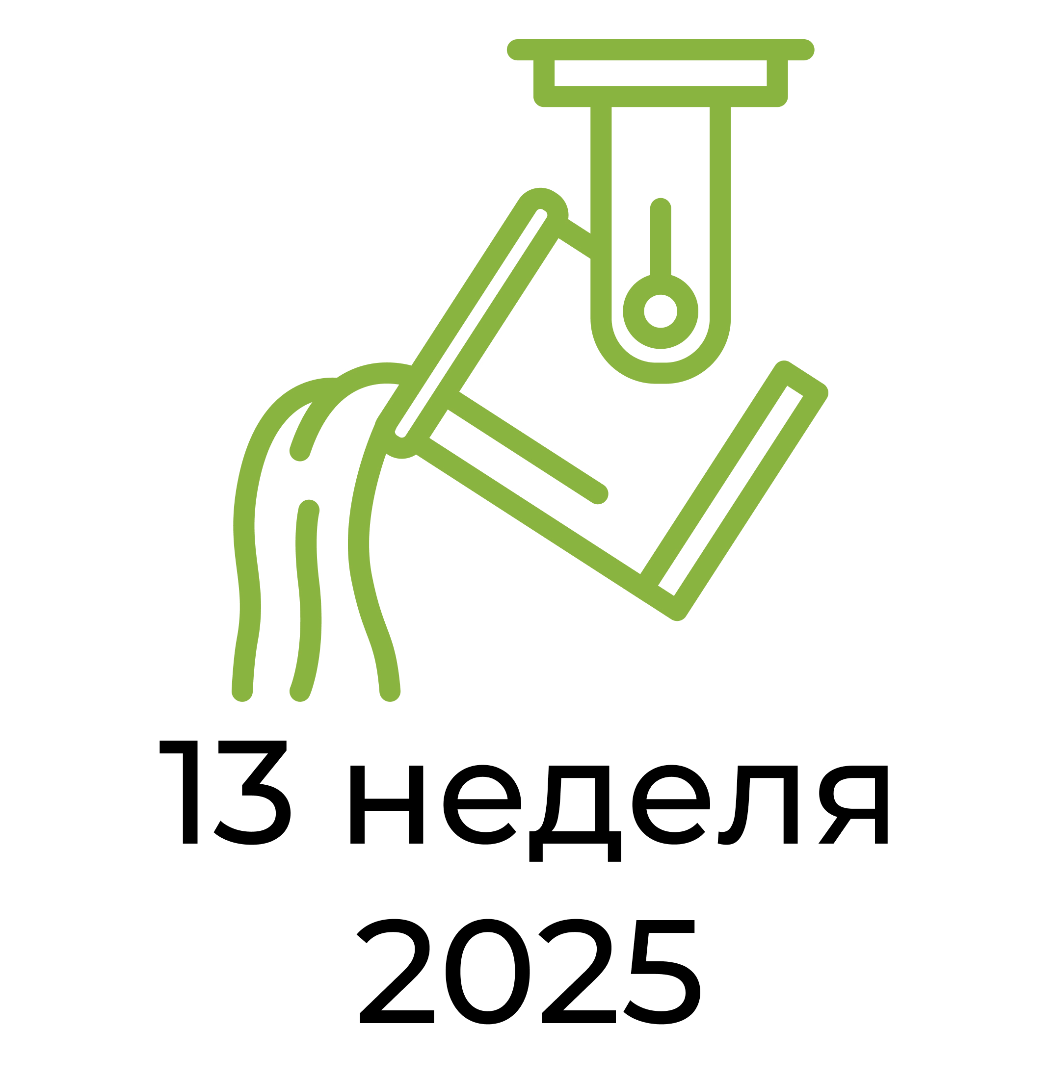 Отчёт за 13 неделю 2025 года