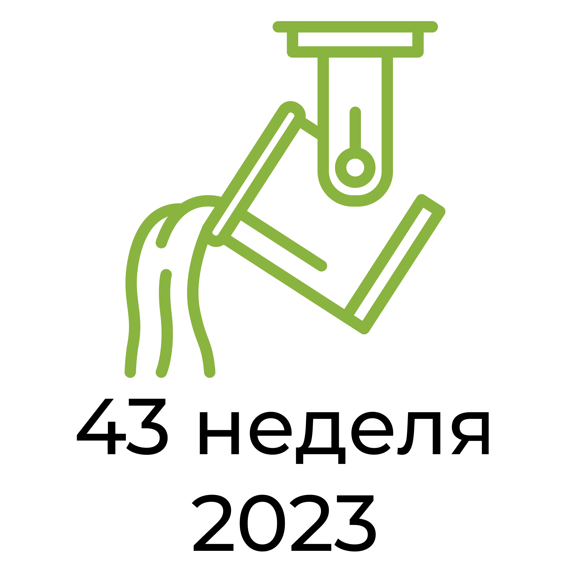 Отчёт за 43 неделю 2023 года