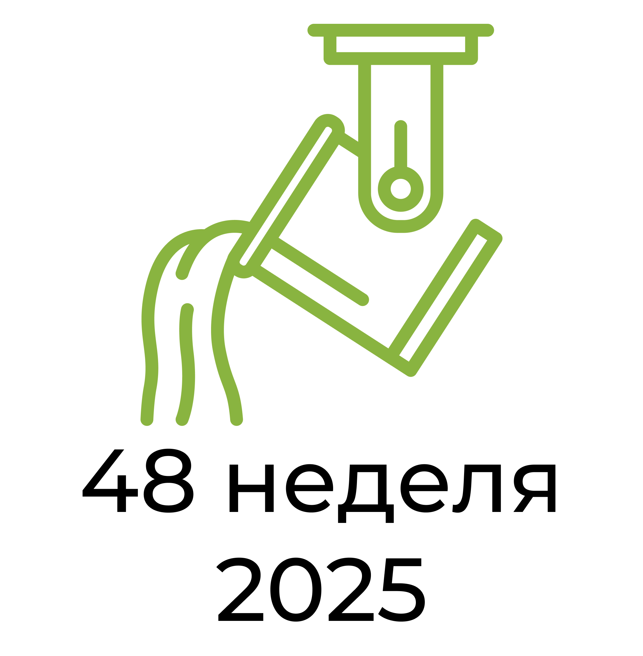 Отчёт за 48 неделю 2025 года