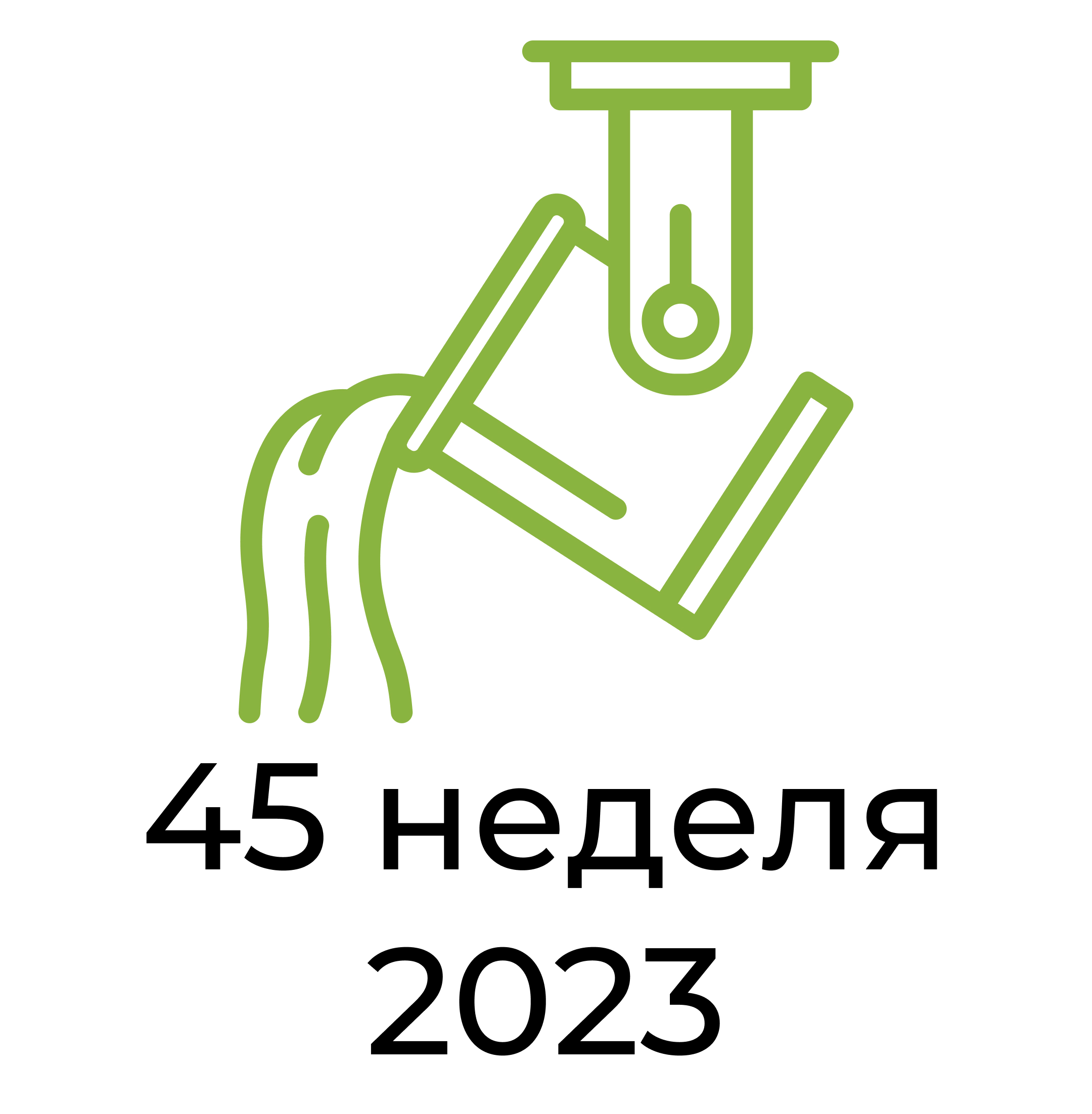 Отчёт за 45 неделю 2023 года